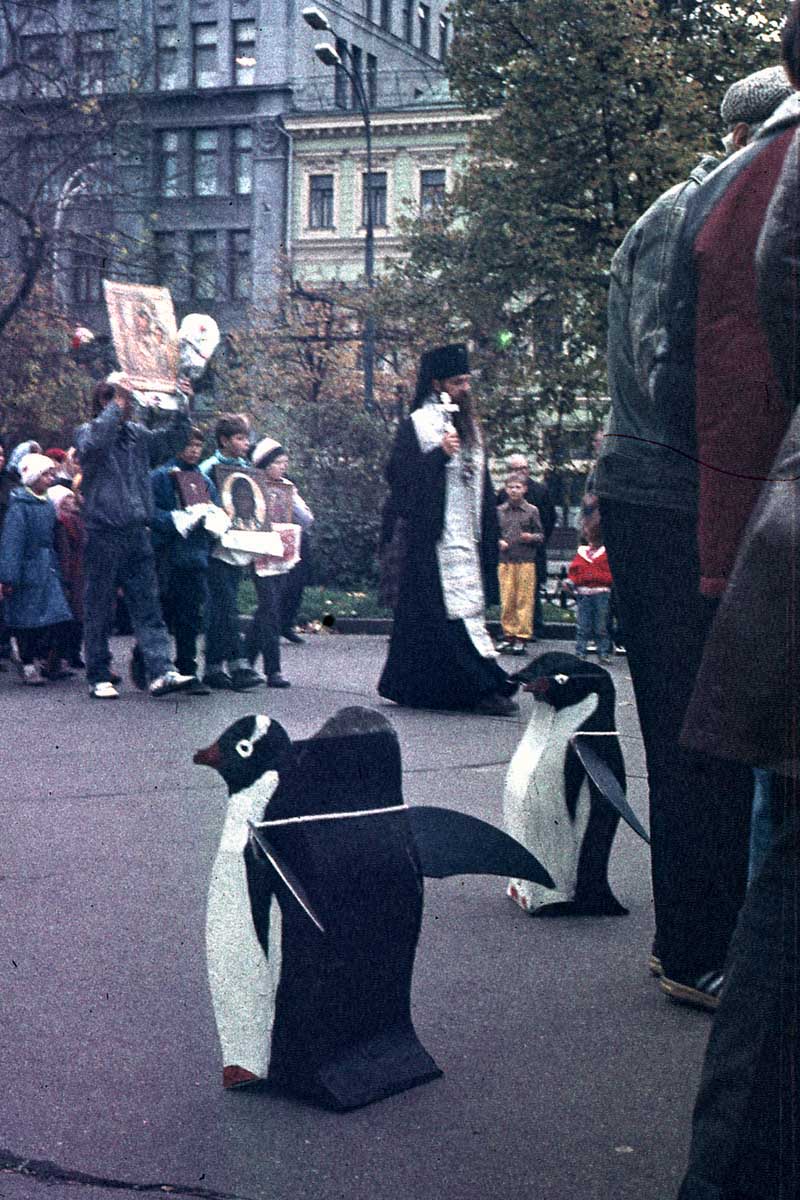 зАиБи - Пингвины радуются