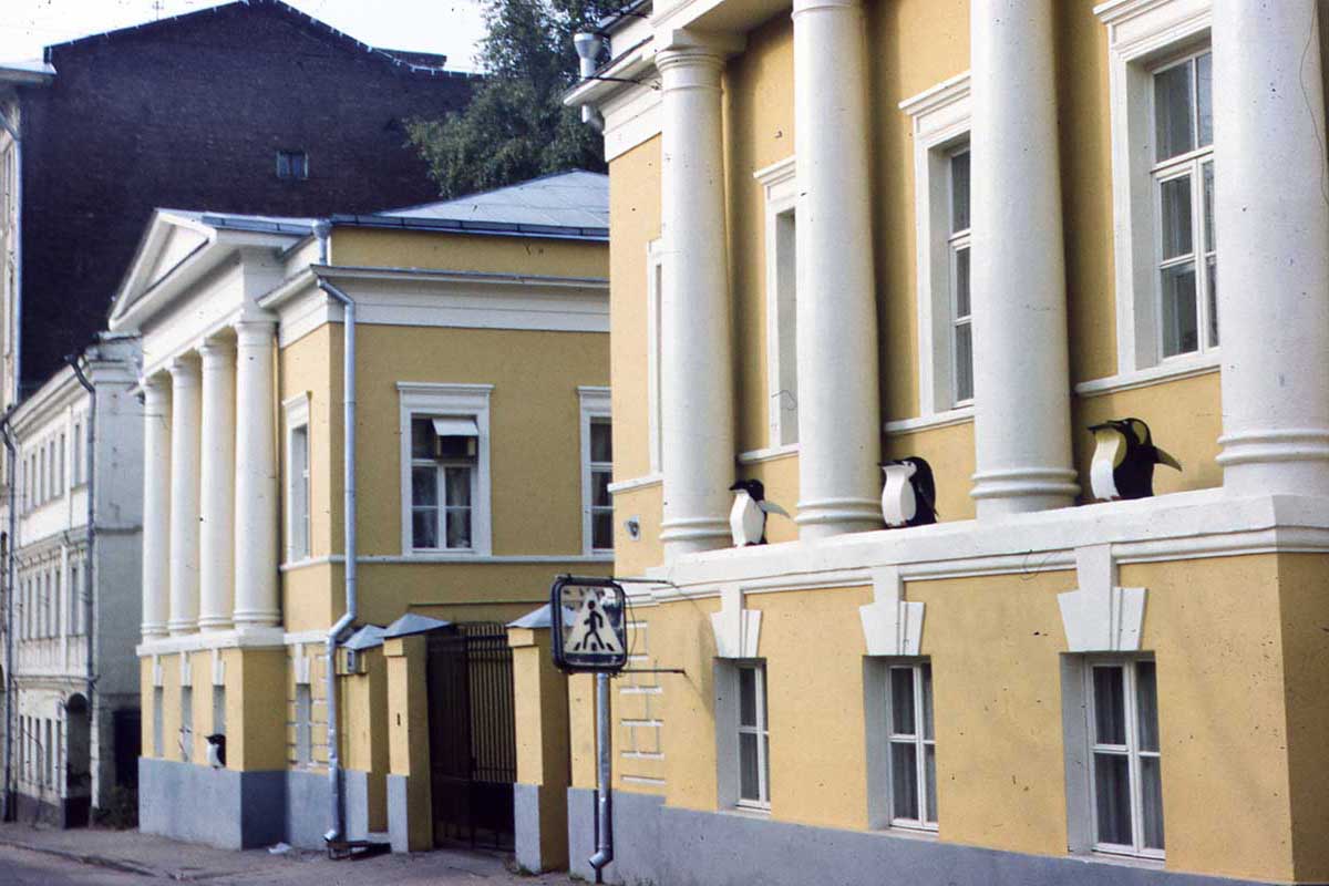 зАиБи - Пингвины в архитектуре