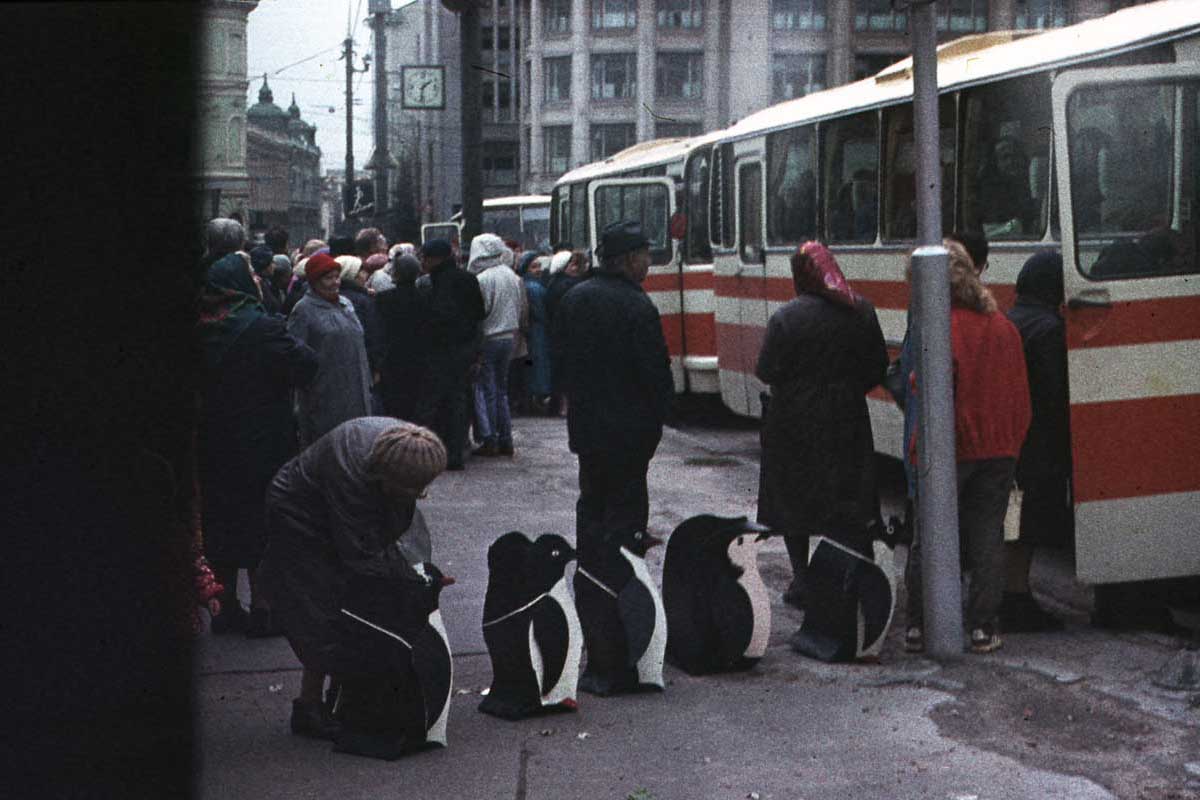 зАиБи - Пингвины в очереди