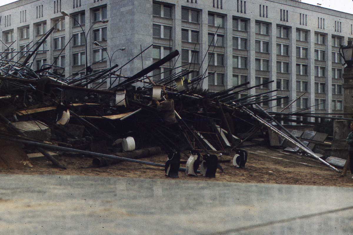 зАиБи - Пингвины у Белого Дома